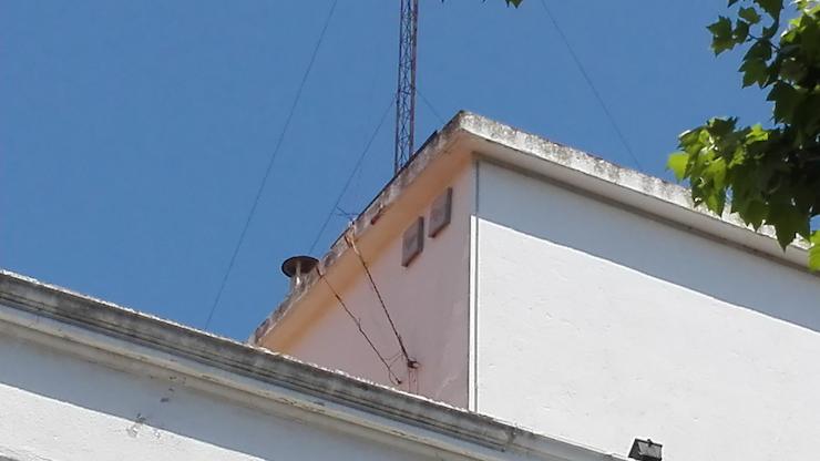 Nius de ratpenat a la façana de l'edifici de l'Ajuntament