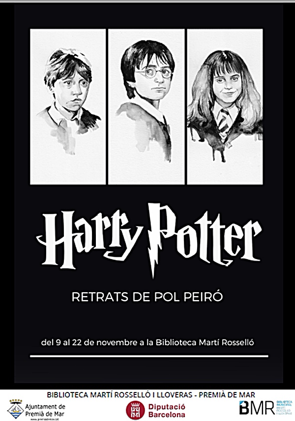 Harry Potter - Retrats de Pol Peir