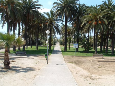 Parc del Palmar