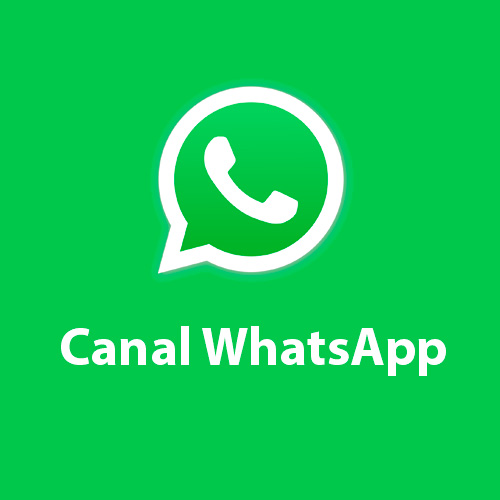 Canal de Whatsapp de la Biblioteca