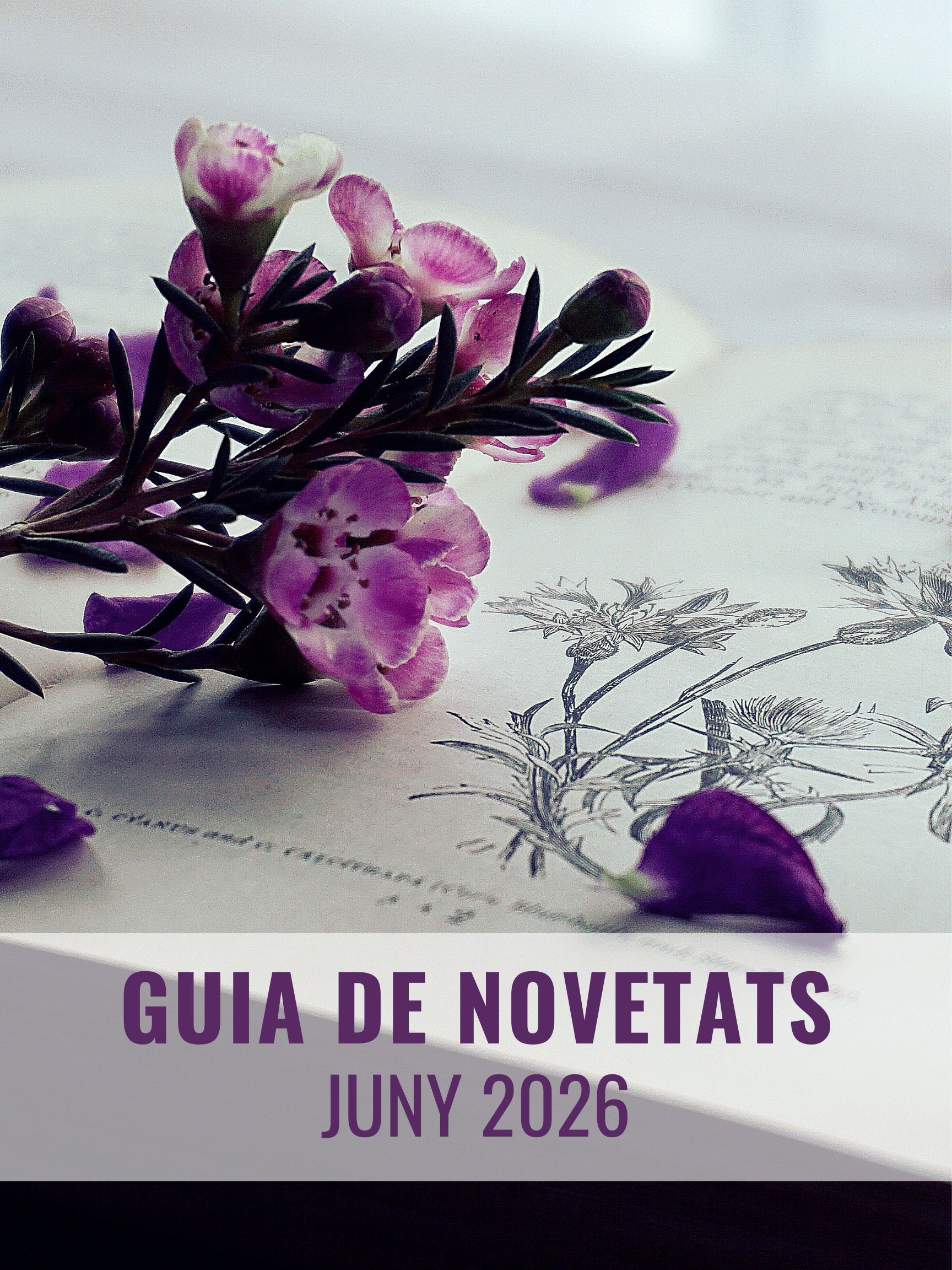 novetats juny26