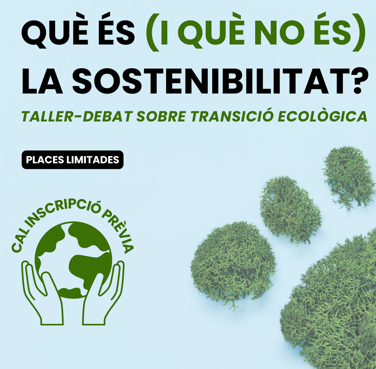 Taller de sostenibilitat