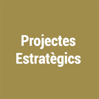 Projectes Estratègics