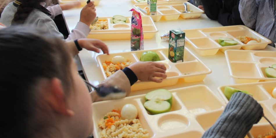 Ajuts menjador escolar