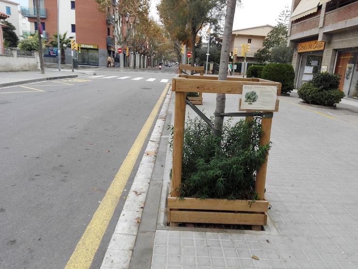replantaci&oacute; escocells
