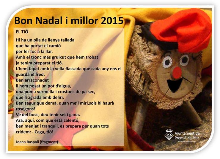 Bon nadal i millor 2015