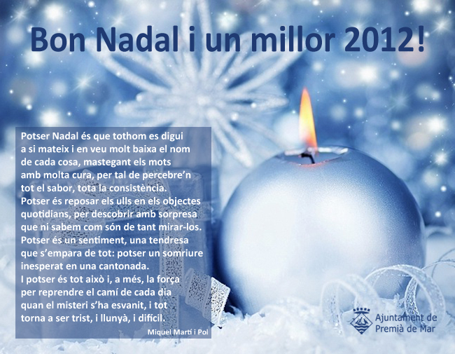 Bon Nadal i millor 2012!