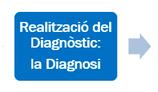 Relaització del Diagnòstic: La Diagnosi