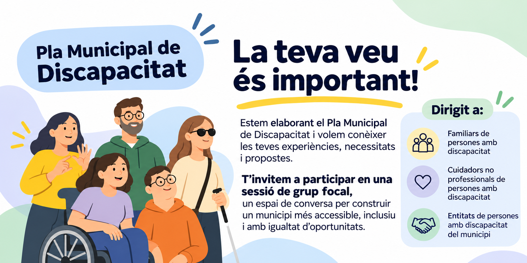 Pla Dis - Capcacitat