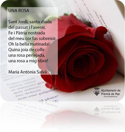 Sant Jordi 2013