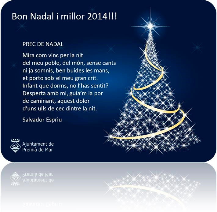Bon Nadal i millor 2014!!!