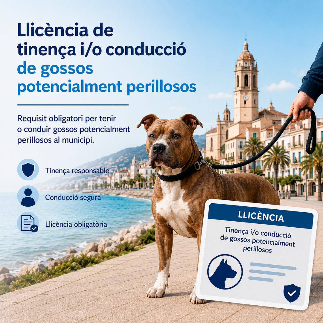 Llic�ncia de tinen�a i/o conducci� de gossos potencialment perillosos