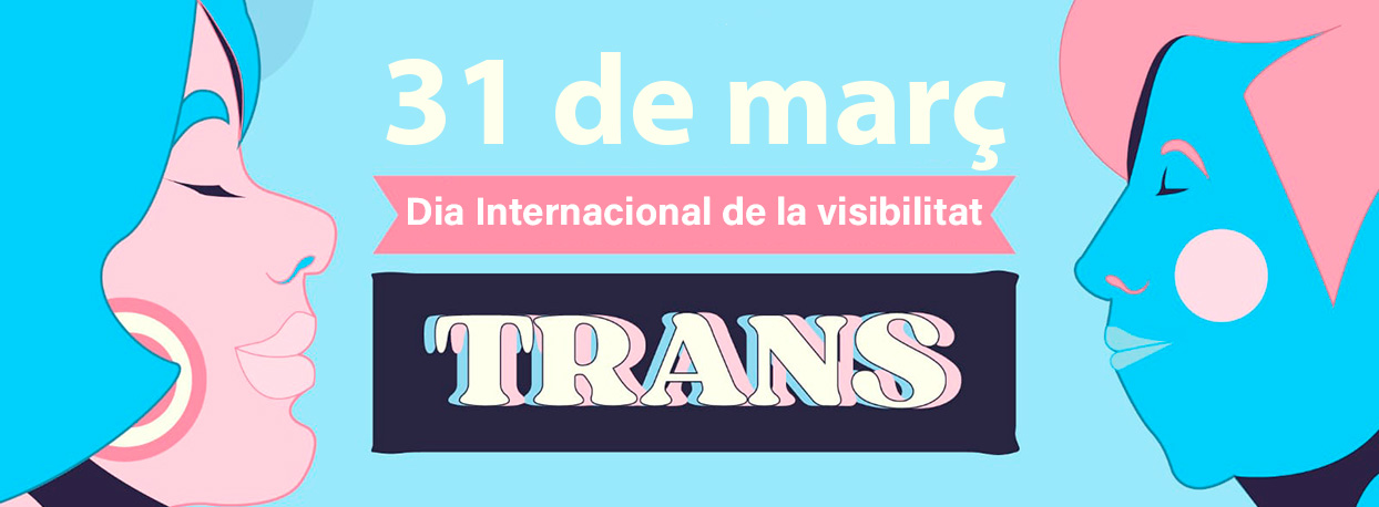 31M visibilitat trans