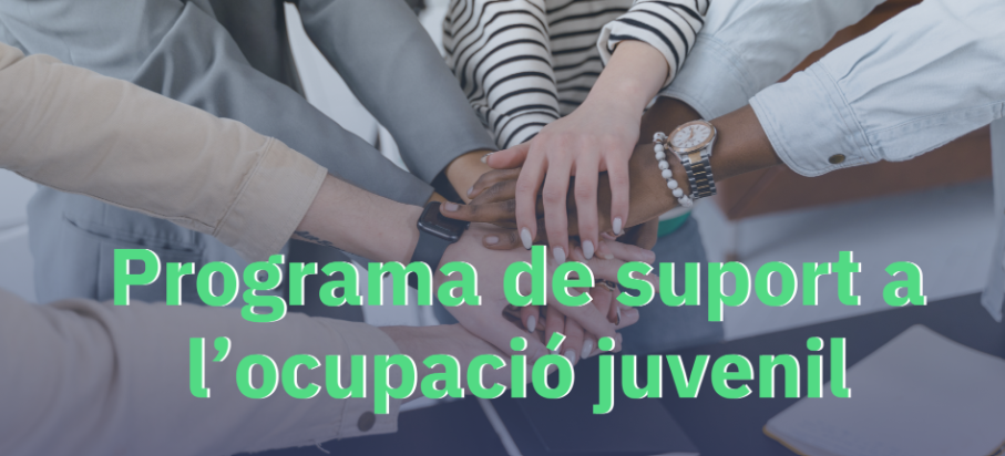 Ocupació juvenil Ocupació juvenil