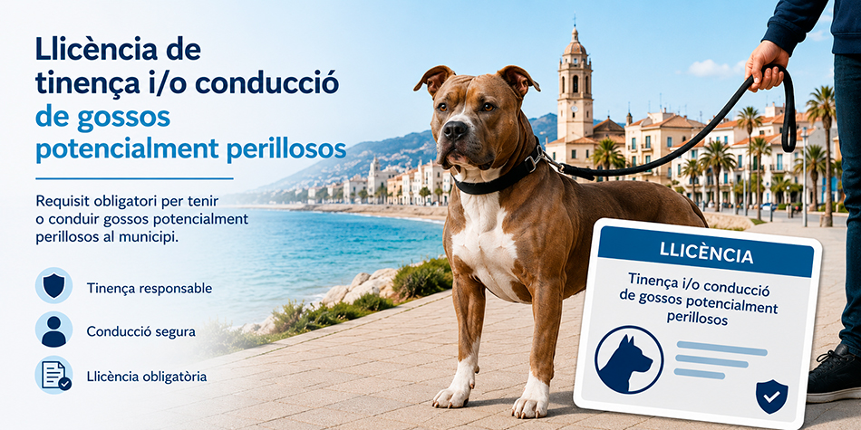 Llic�ncia de tinen�a i/o conducci� de gossos potencialment perillosos