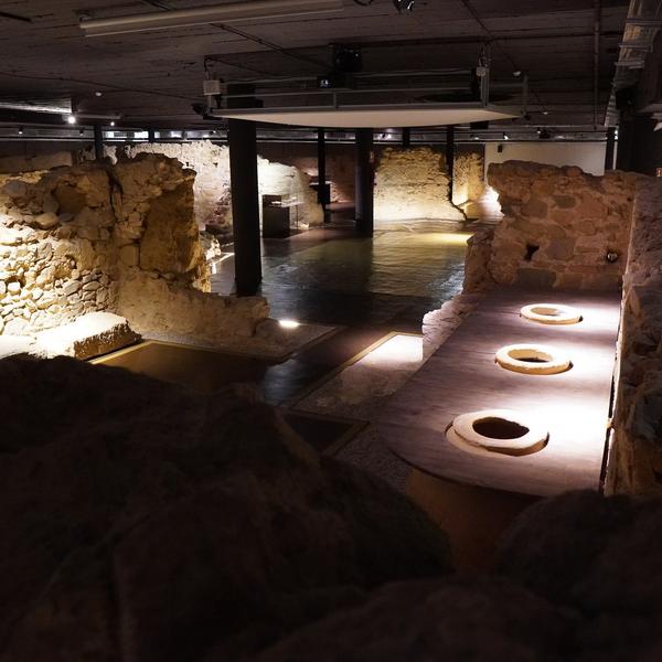 Jornada de portes obertes al Museu Rom