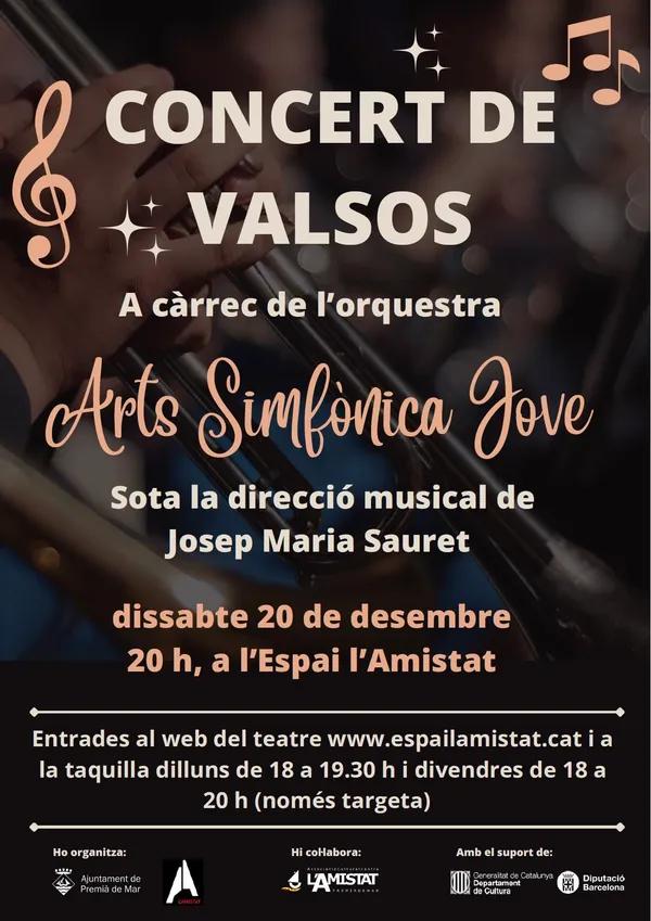 Concert de valsos de Nadal