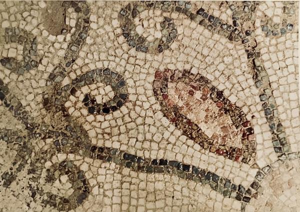 Taller familiar: Fem un mosaic rom�