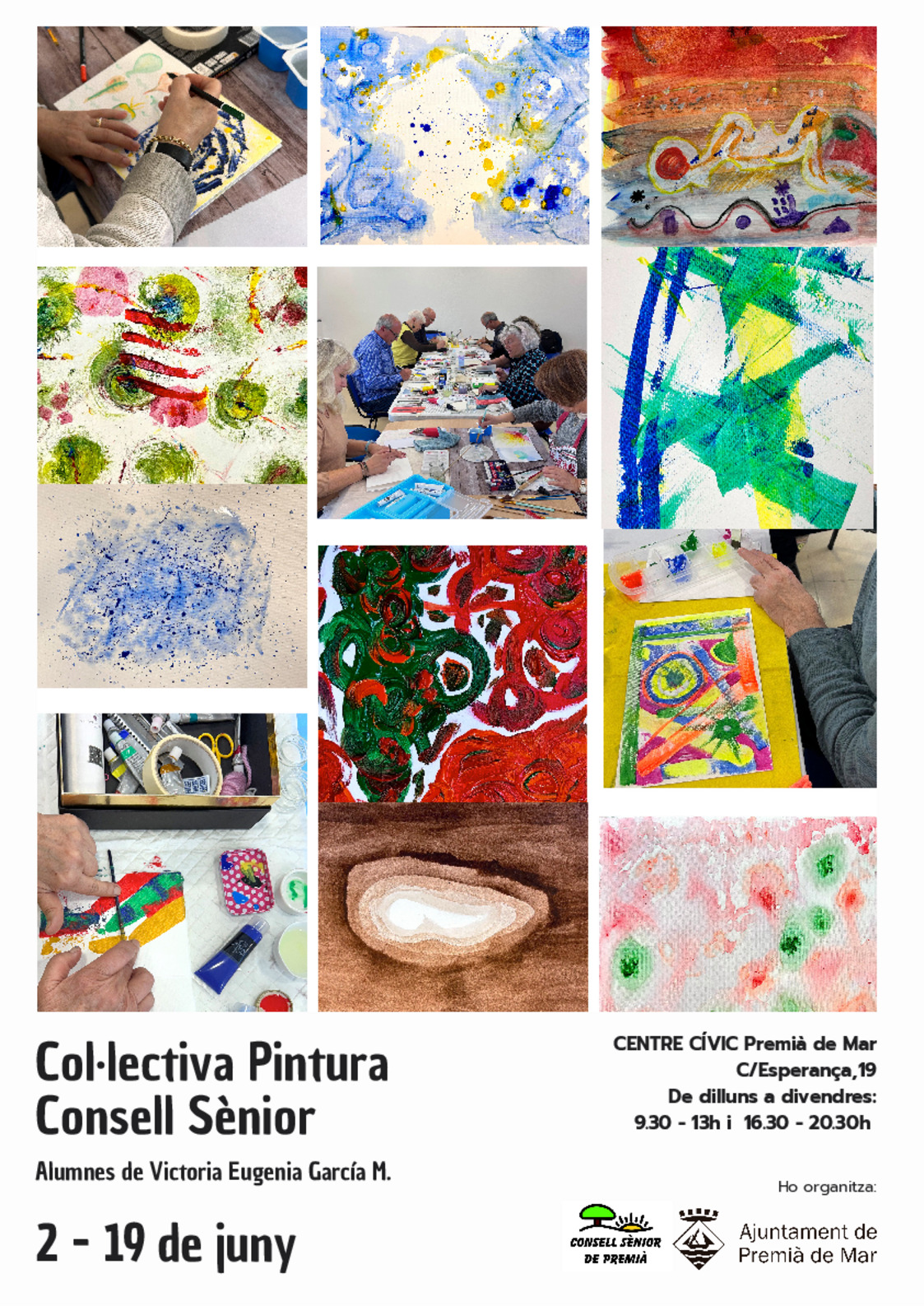 col.lectiva pintura consell s�nior