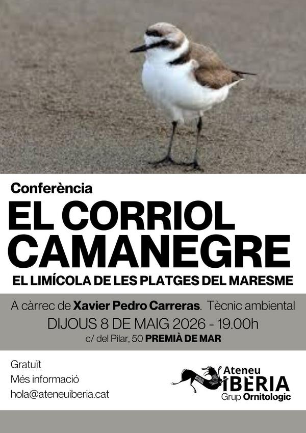 El Corriol Camanegre