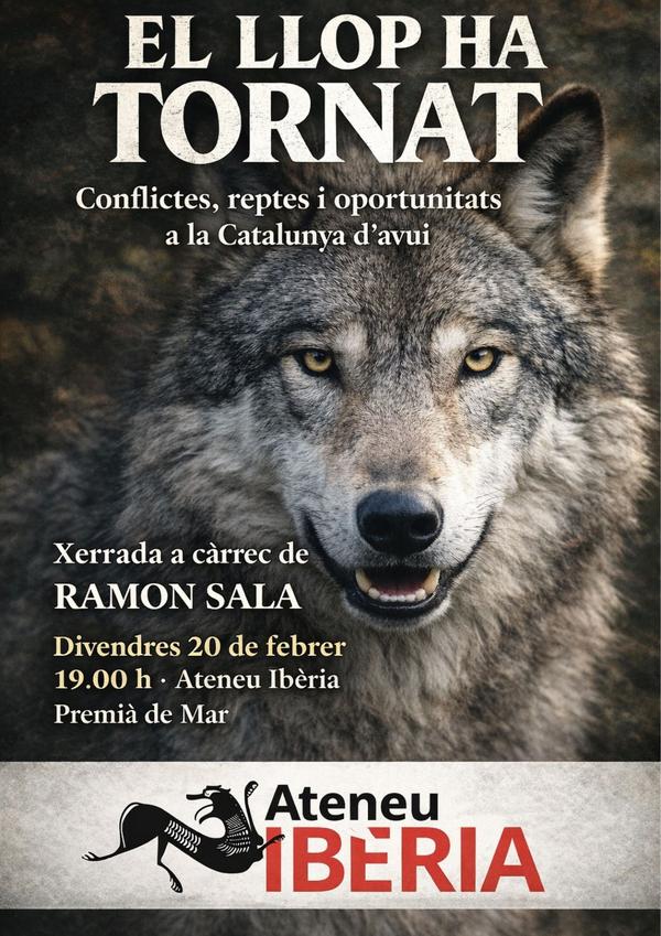 El llop ha tornat