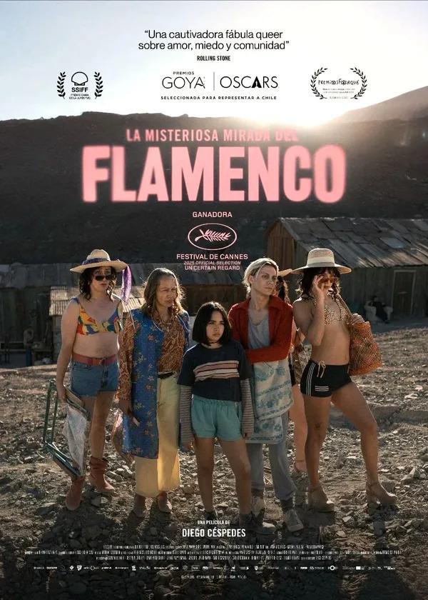 La misteriosa mirada del flamenco