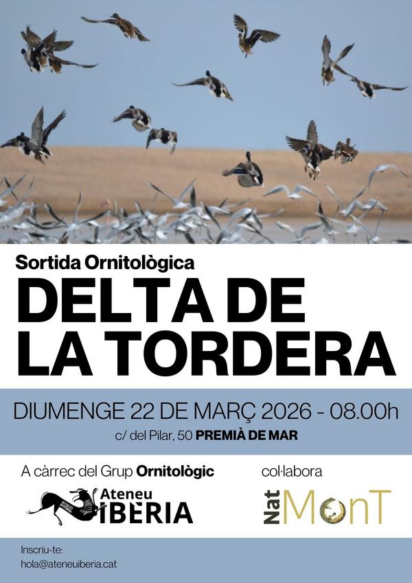 Sortida ornitol�gica al delta de la tordera