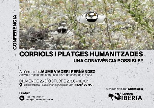 Corriols i platges humenitzades