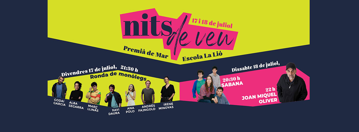 Nits de veu